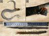 Hungry Snake Picked The Wrong Dinner (Snake vs. Centipede)